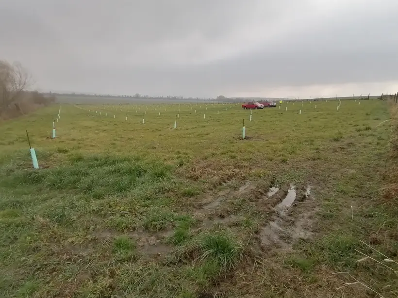 Výsadba sadu, 3 ha — dokončovacie práce, príprava plochy a výsadba (7/9)